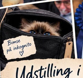 Bimse på inkognito