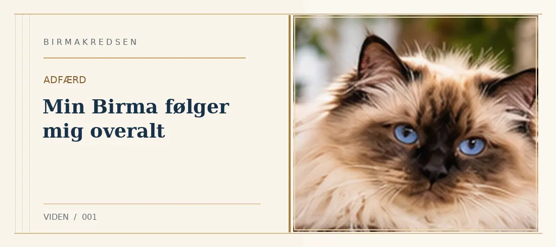 Illustreret artikel: Min Birma følger mig overalt – Birmakredsen