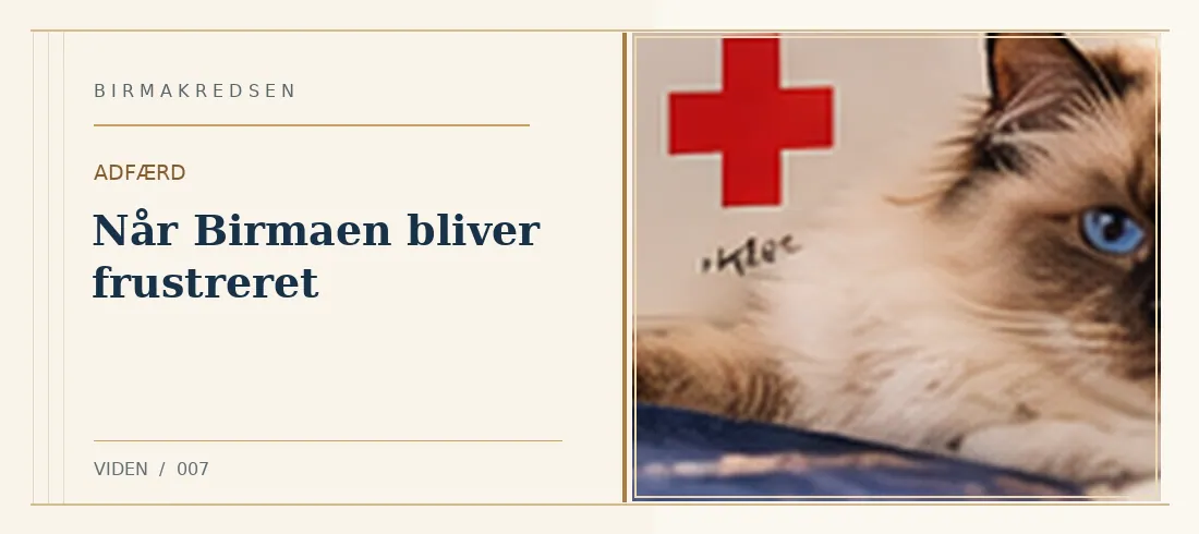 Illustreret artikel: Når Birmaen bliver frustreret – Birmakredsen
