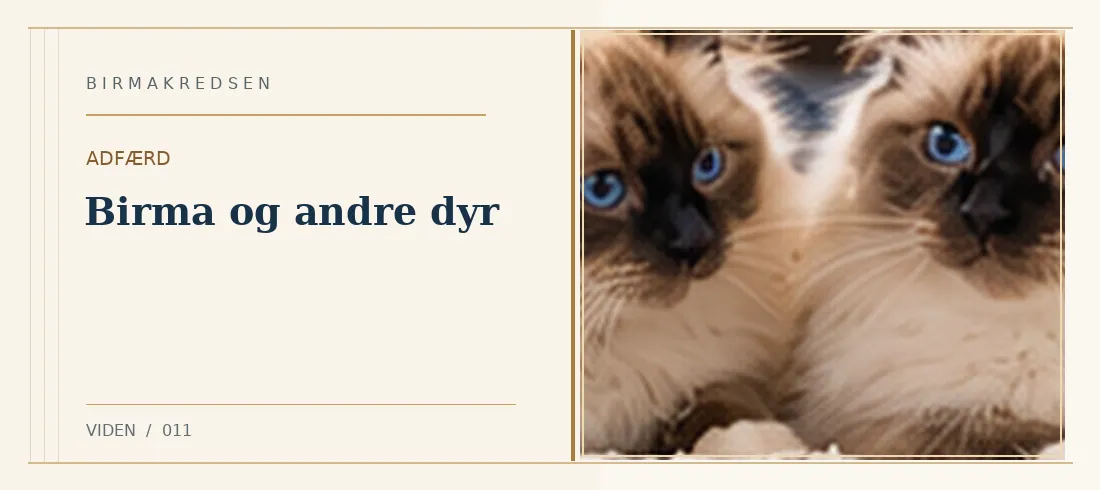 Illustreret artikel: Birma og andre dyr – Birmakredsen