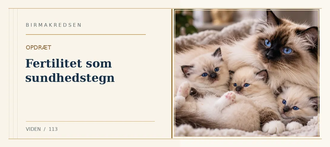 Illustreret artikel: Fertilitet som sundhedstegn – Birmakredsen