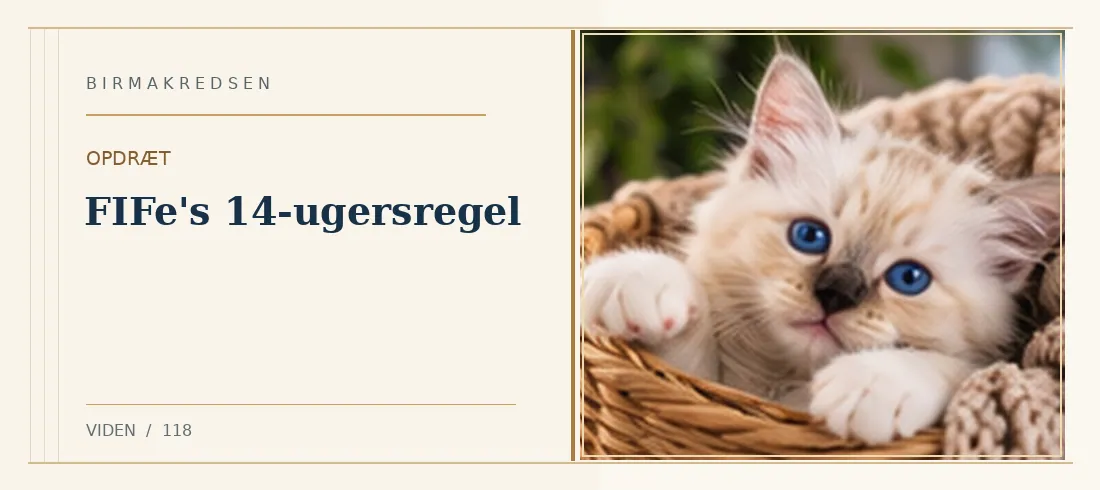Illustreret artikel: FIFe's 14-ugersregel – Birmakredsen