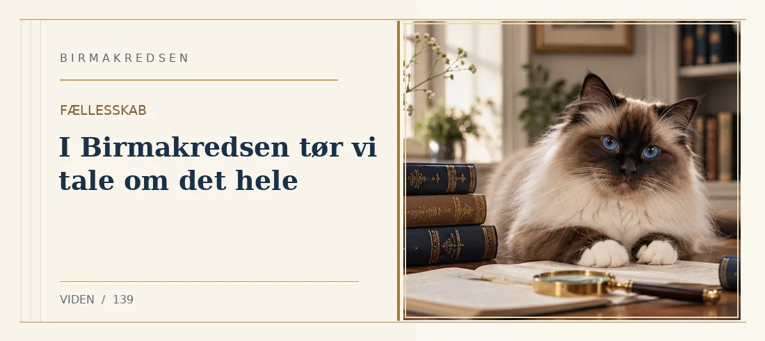 Illustreret artikel: I Birmakredsen tør vi tale om det hele – Birmakredsen