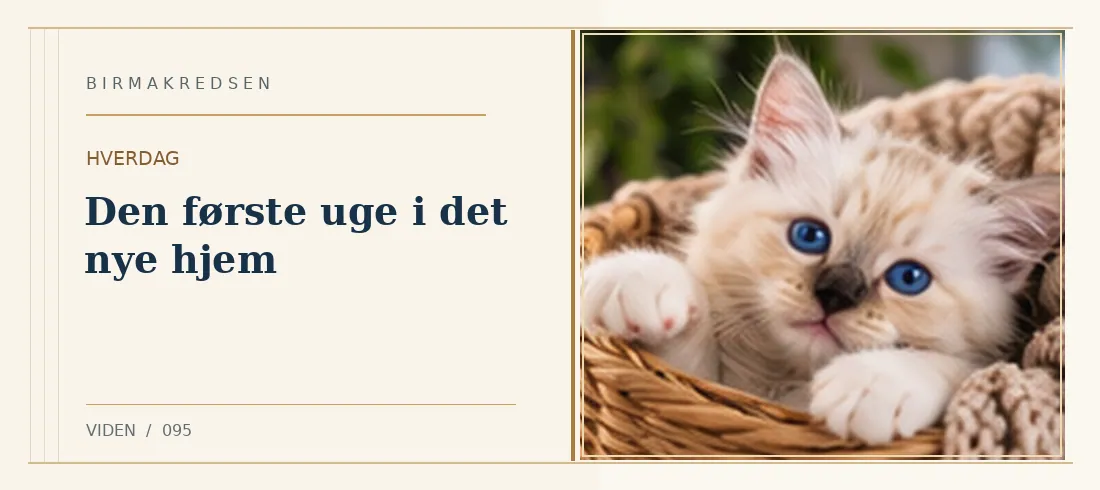 Illustreret artikel: Den første uge i det nye hjem – Birmakredsen