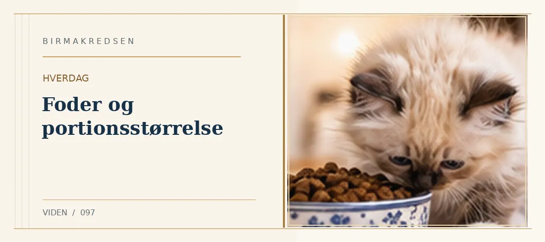 Illustreret artikel: Foder og portionsstørrelse – Birmakredsen
