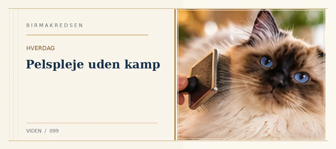 Illustreret artikel: Pelspleje uden kamp – Birmakredsen
