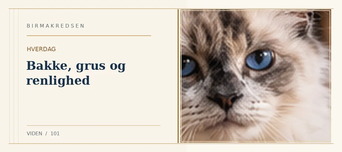 Illustreret artikel: Bakke, grus og renlighed – Birmakredsen