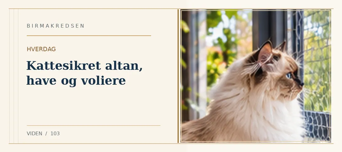 Illustreret artikel: Kattesikret altan, have og voliere – Birmakredsen