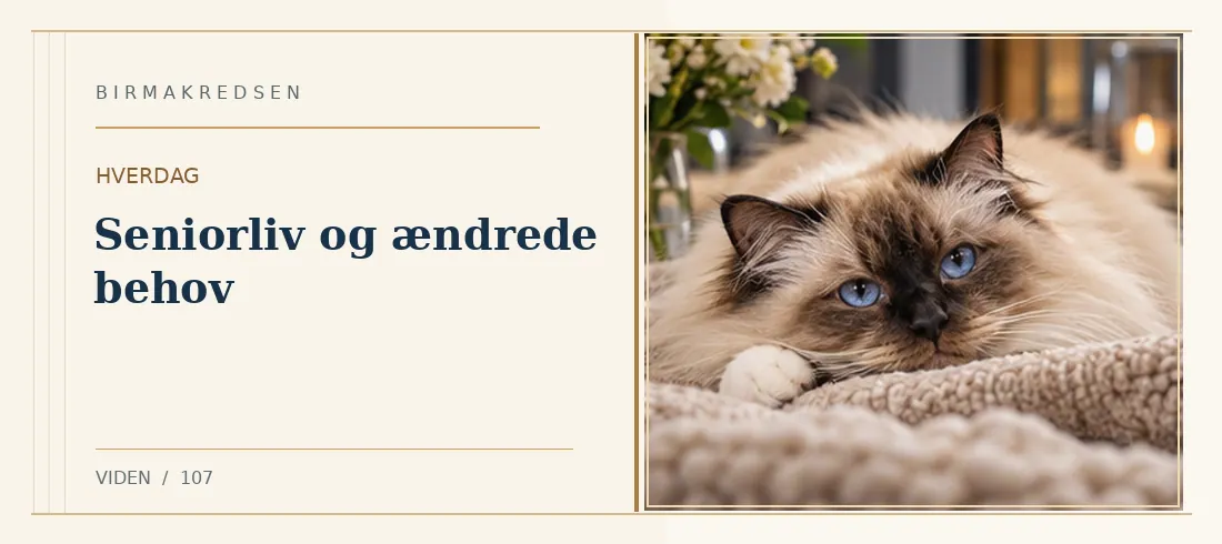 Illustreret artikel: Seniorliv og ændrede behov – Birmakredsen