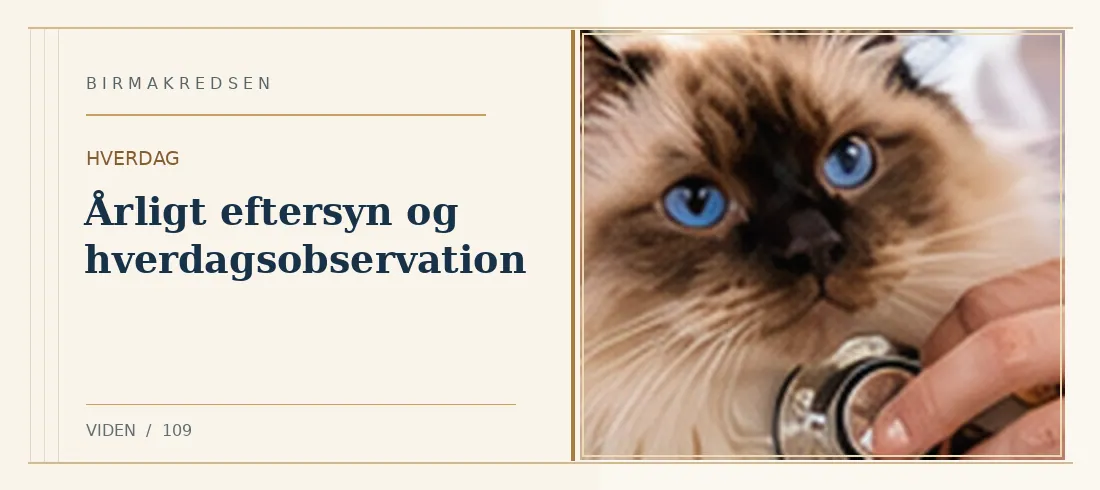 Illustreret artikel: Årligt eftersyn og hverdagsobservation – Birmakredsen