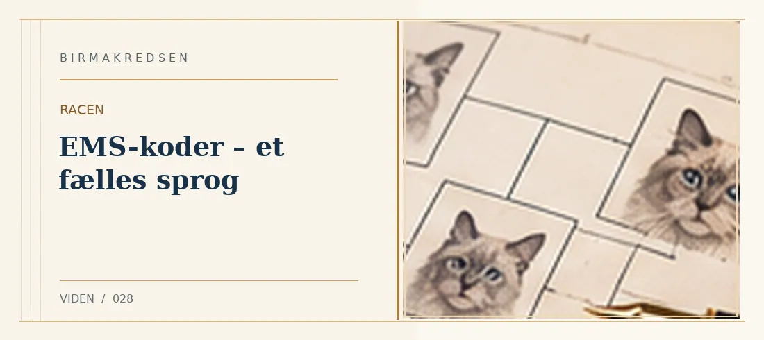 Illustreret artikel: EMS-koder – et fælles sprog – Birmakredsen