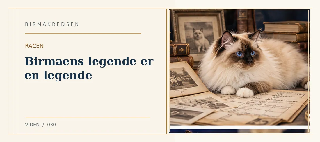 Illustreret artikel: Birmaens legende er en legende – Birmakredsen