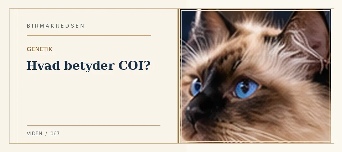 Illustreret artikel: Hvad betyder COI? – Birmakredsen