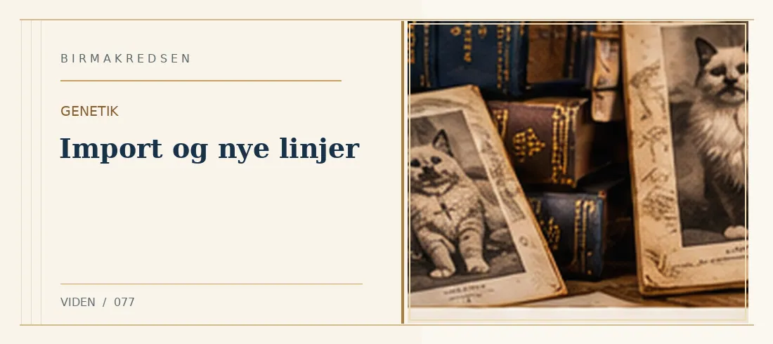 Illustreret artikel: Import og nye linjer – Birmakredsen