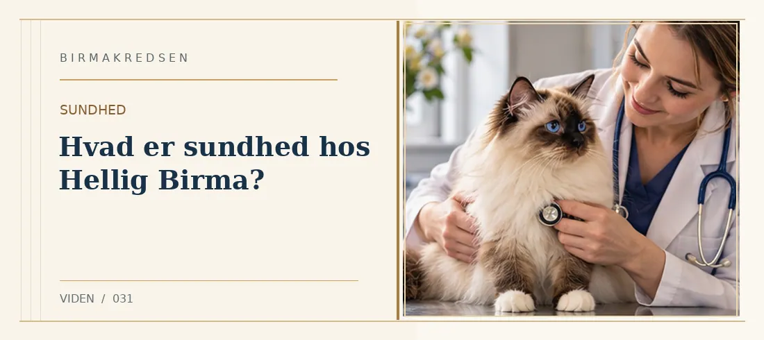 Illustreret artikel: Hvad er sundhed hos Hellig Birma? – Birmakredsen