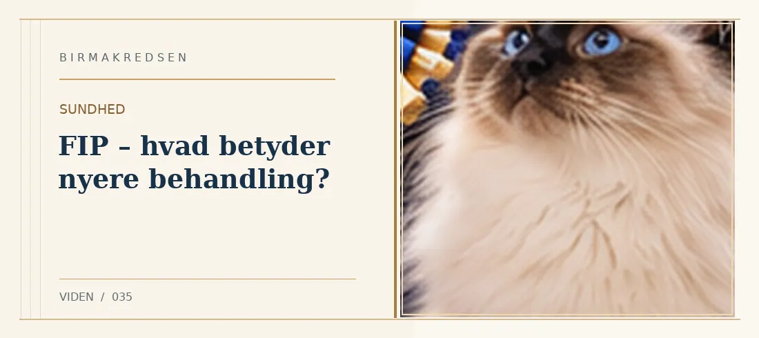 Illustreret artikel: FIP – hvad betyder nyere behandling? – Birmakredsen