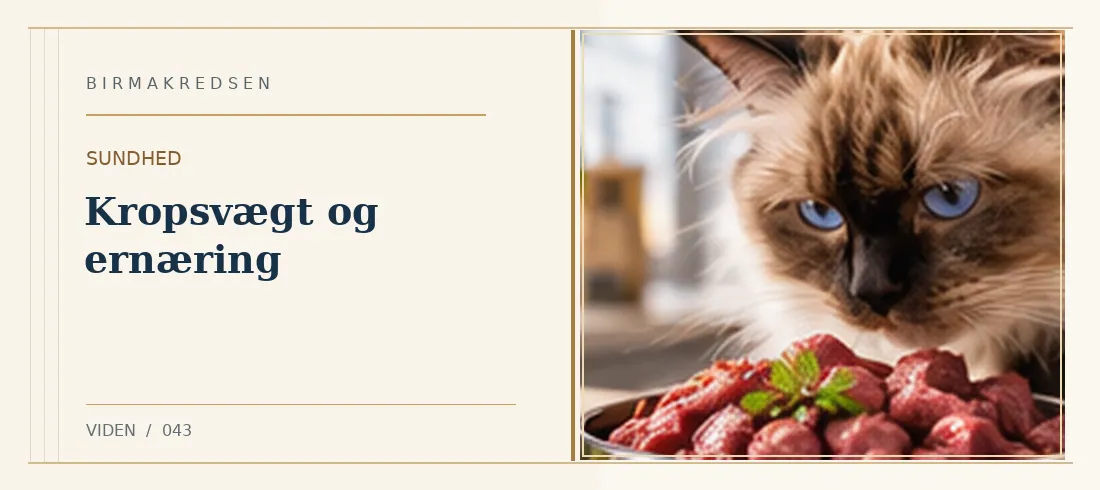 Illustreret artikel: Kropsvægt og ernæring – Birmakredsen
