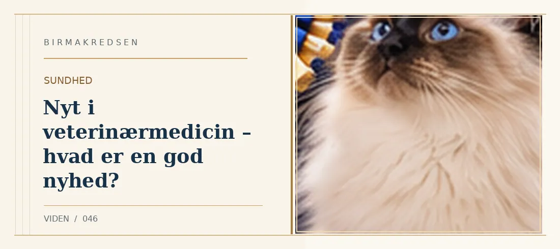 Illustreret artikel: Nyt i veterinærmedicin – hvad er en god nyhed? – Birmakredsen