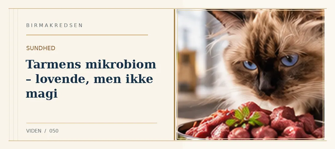 Illustreret artikel: Tarmens mikrobiom – lovende, men ikke magi – Birmakredsen