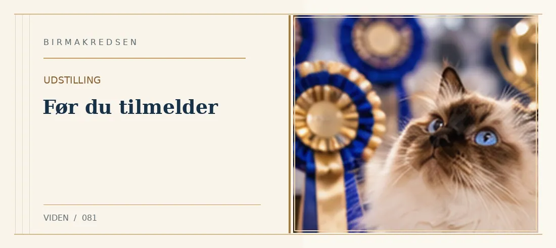 Illustreret artikel: Før du tilmelder – Birmakredsen