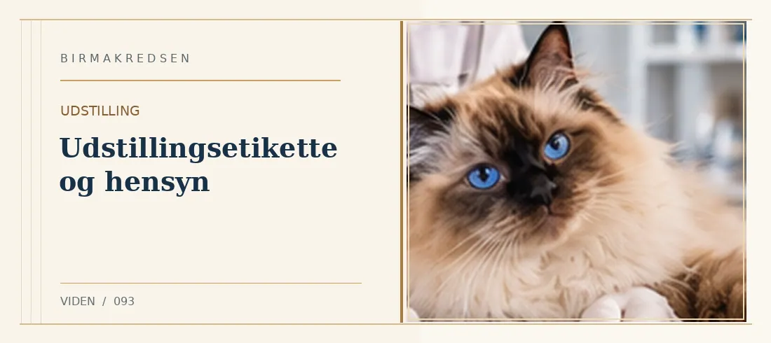Illustreret artikel: Udstillingsetikette og hensyn – Birmakredsen