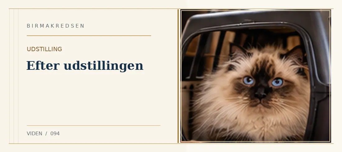 Illustreret artikel: Efter udstillingen – Birmakredsen