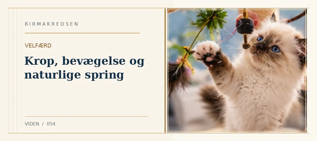 Illustreret artikel: Krop, bevægelse og naturlige spring – Birmakredsen