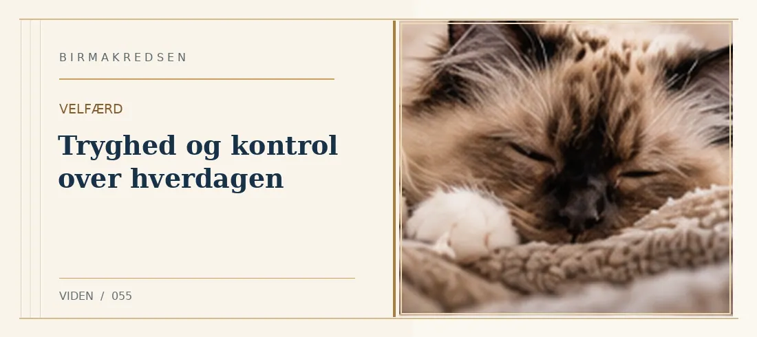 Illustreret artikel: Tryghed og kontrol over hverdagen – Birmakredsen