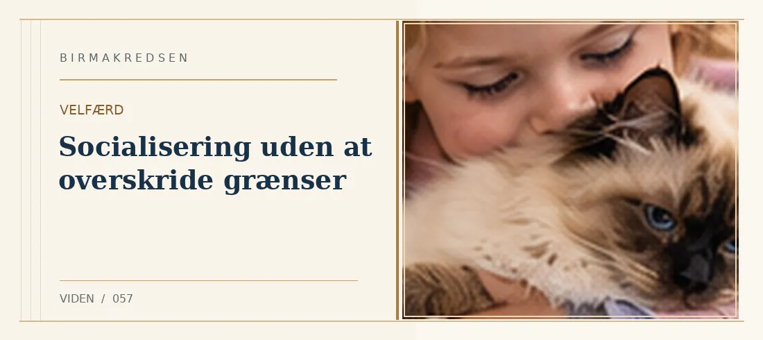 Illustreret artikel: Socialisering uden at overskride grænser – Birmakredsen