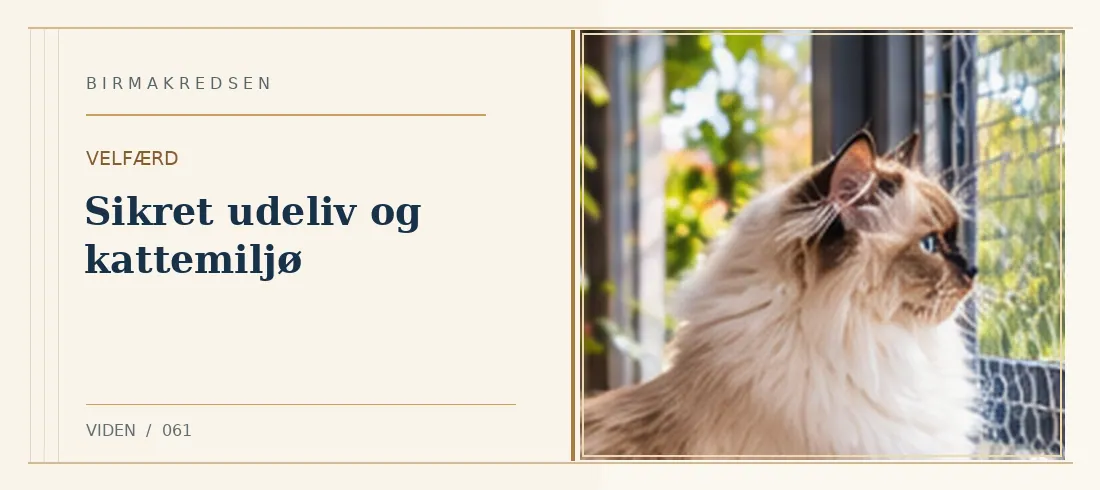 Illustreret artikel: Sikret udeliv og kattemiljø – Birmakredsen