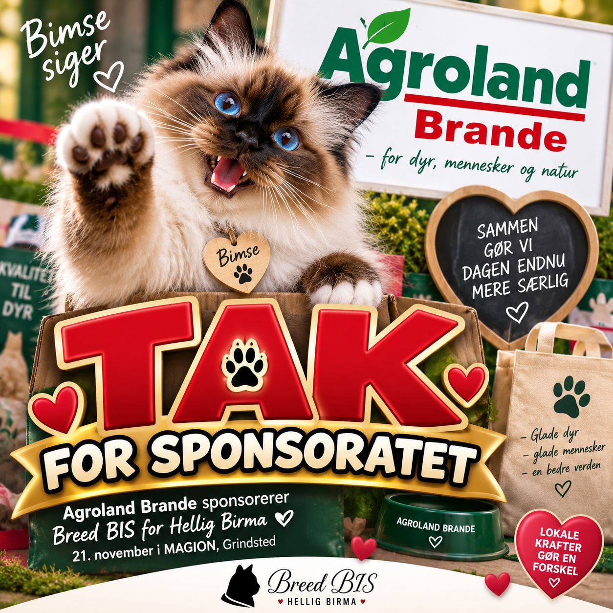 Bimses sponsorgrafik med tak til Agroland Brande for sponsorat til Breed BIS.