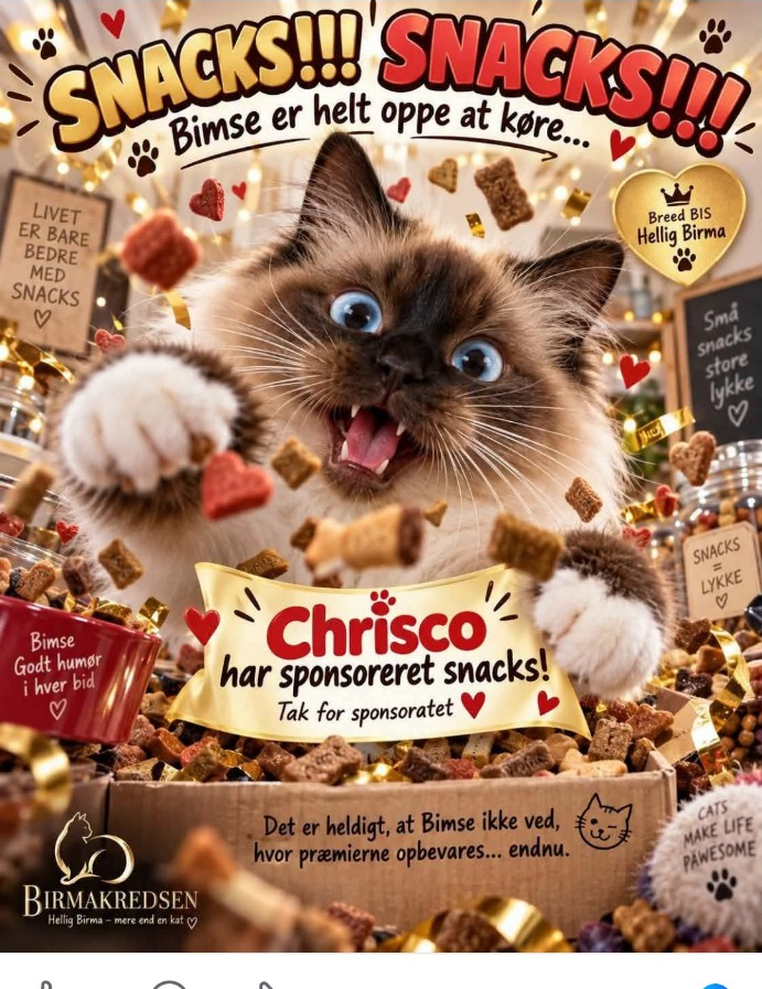Bimses sponsorgrafik med tak til Chrisco for snacks til Breed BIS.