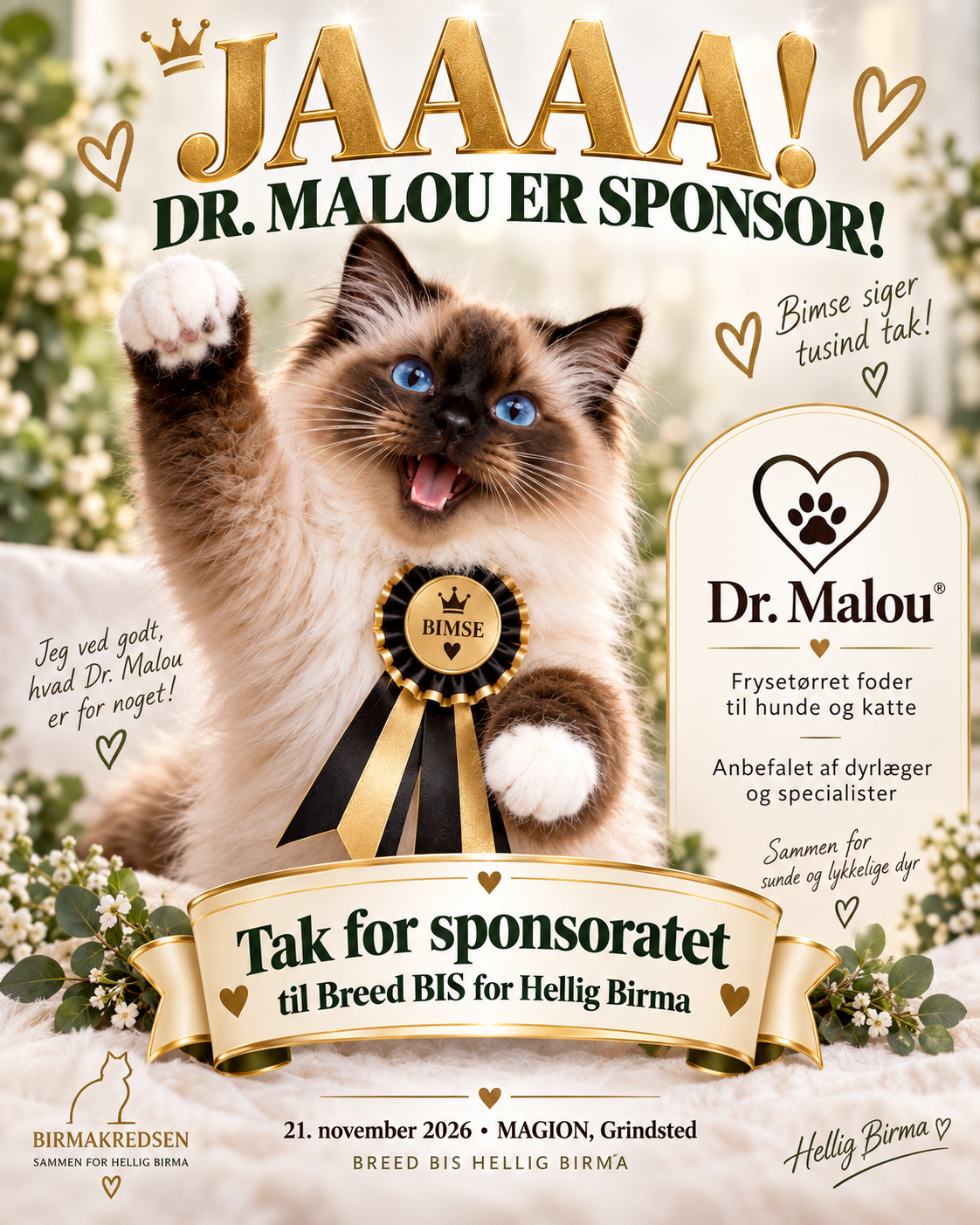 Bimses sponsorgrafik med tak til Dr. Malou for sponsorat til Breed BIS.