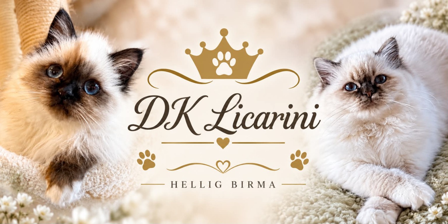 Licarini's Hellig Birma – sponsor og logo