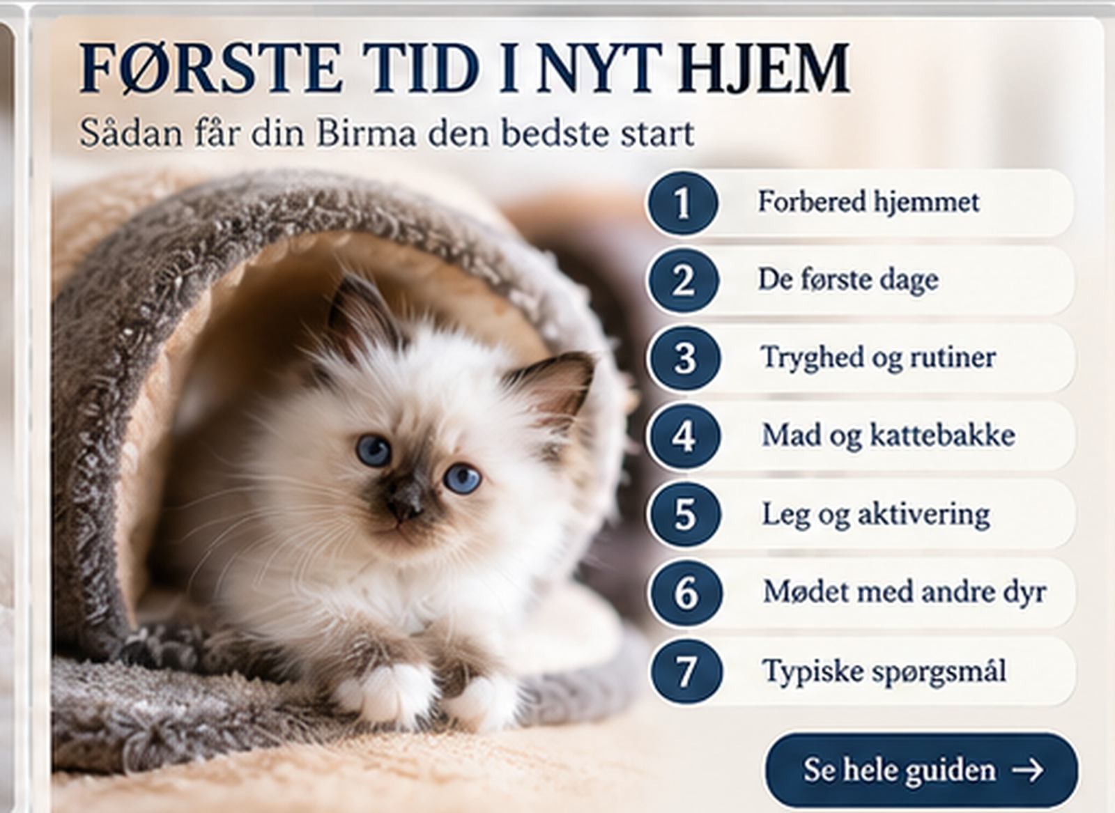 Hellig Birma killing og trin til en tryg start i nyt hjem