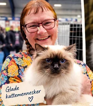 The Birmakredsen's existing picture posts about happy cat people